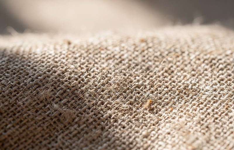 Tissu bio et santé : ce que gagne votre peau